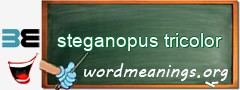 WordMeaning blackboard for steganopus tricolor